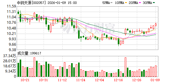 中钢天源:2026年1月26日召开2026年第一次临时股东会-313啦实用网