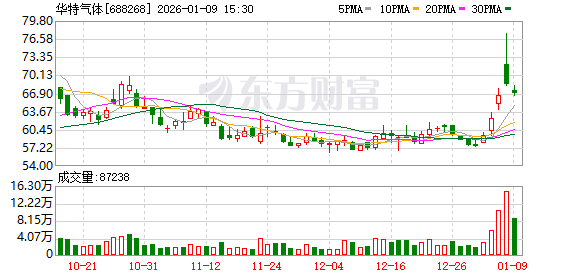 华特气体:2026年1月29日召开2026年第一次临时股东会-313啦实用网