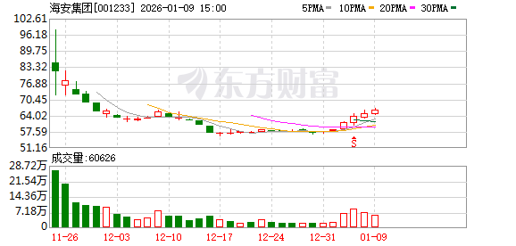 海安集团：公司调整后的募集资金主要投向三个项目-313啦实用网