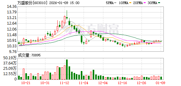 万盛股份预计2025年度经营业绩出现亏损-313啦实用网