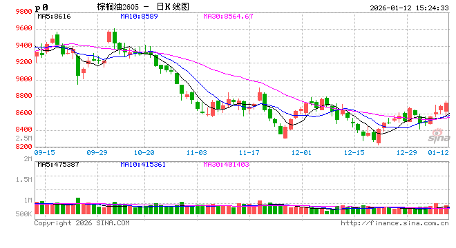 棕榈油--现实压力下暗藏潜力与新机