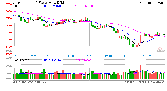 光大期货：1月13日软商品日报