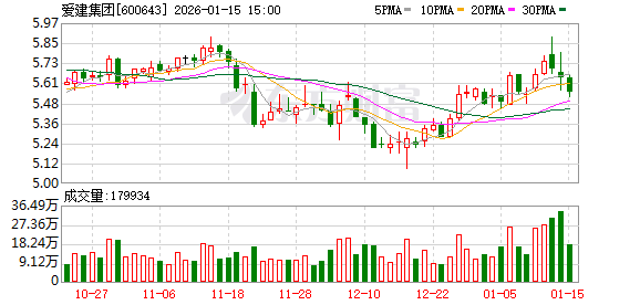 爱建集团：2026年2月2日召开2026年第一次临时股东会-313啦实用网