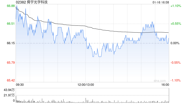 舜宇光学科技于1月16日斥资7489.68万港元回购113万股-313啦实用网