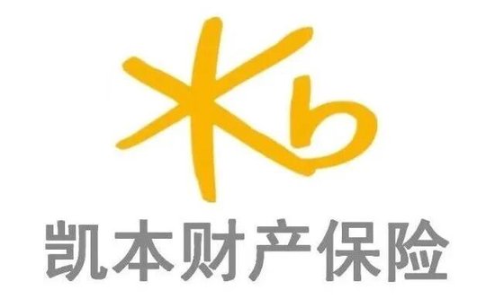 一起重大赔付拉开凯本财险业务调节、人事更迭大幕：总资产连年下降，保费持续负增长，掌舵人生变-313啦实用网