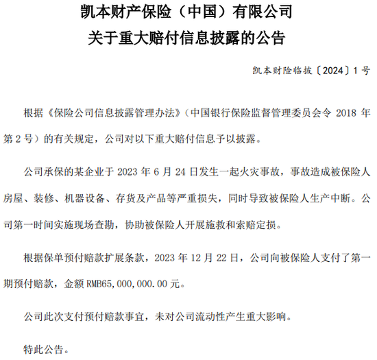 一起重大赔付拉开凯本财险业务调节、人事更迭大幕：总资产连年下降，保费持续负增长，掌舵人生变
