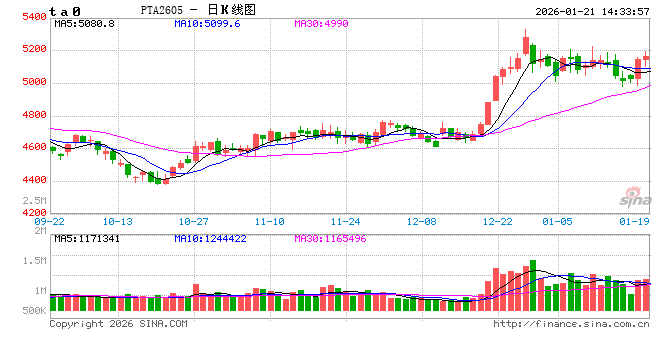 PTA：2025年出口量回落 2026年能否重新回升？