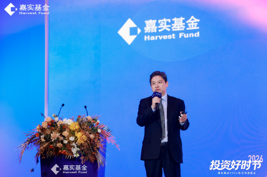 嘉实基金方晗：2026年权益市场理性偏乐观 聚焦AI应用与内需板块-313啦实用网