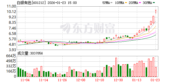 白银有色：2025年年度业绩预告-313啦实用网
