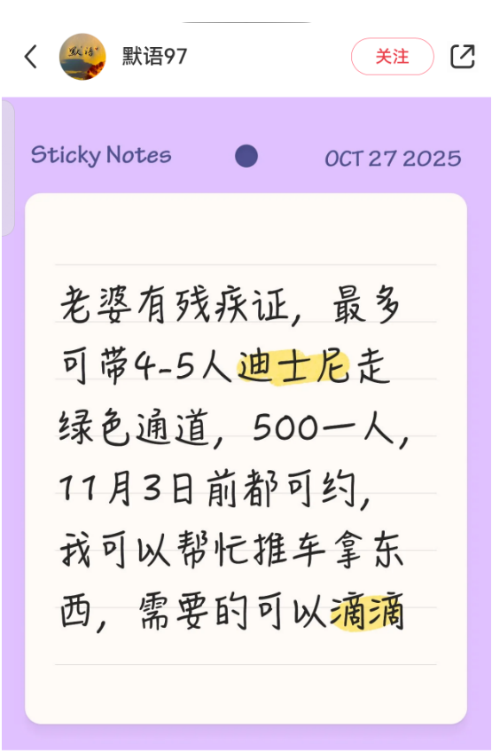 上海迪士尼现“免排队”？“残障爱心通道”成黄牛“提款机”，有团伙4个月非法牟利10万余元-313啦实用网