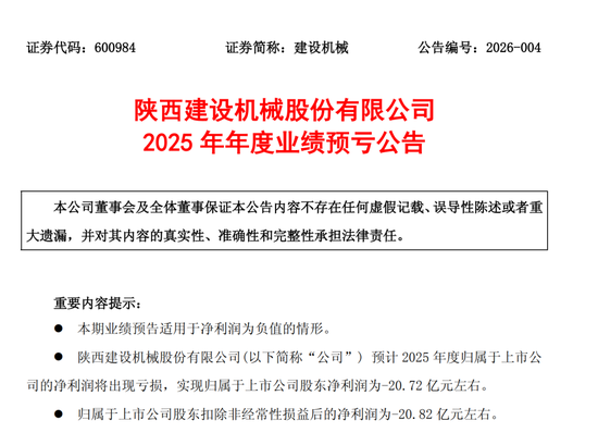 惊呆！48亿市值A股建设机械，预亏超20亿元！-313啦实用网
