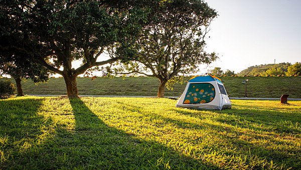 大事小情习惯“问问AI”?警惕AI的“种草式”推荐-313啦实用网