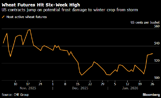 小麦期货触及六周高点 美国多地遭遇霜冻-313啦实用网