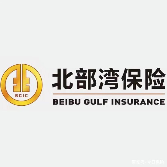 北部湾财险二拍6%股权再遭流拍，36%股权质押悬顶-313啦实用网