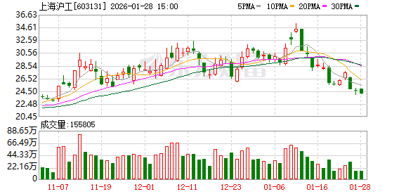 上海沪工：2025年度公司营业收入及毛利较上年同期有一定的下降-313啦实用网