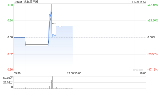 裕丰昌控股完成发行800万股配售股份-313啦实用网
