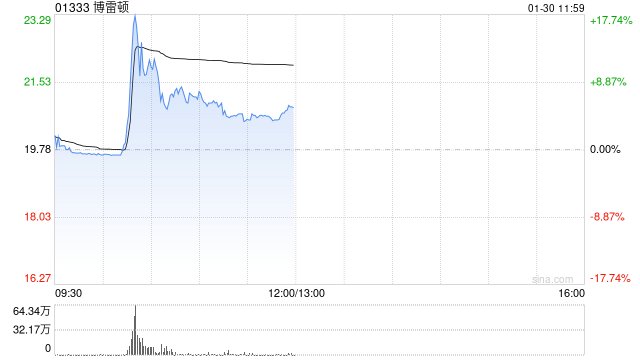 博雷顿盘中涨超17% 近期获控股股东频繁增持股份-313啦实用网