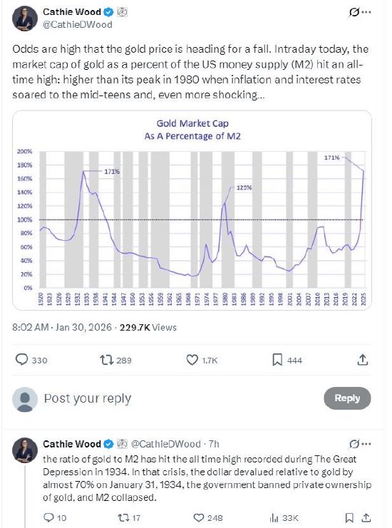 “木头姐”警告：真正的泡沫不是AI是黄金，美元上涨将戳破泡沫-313啦实用网