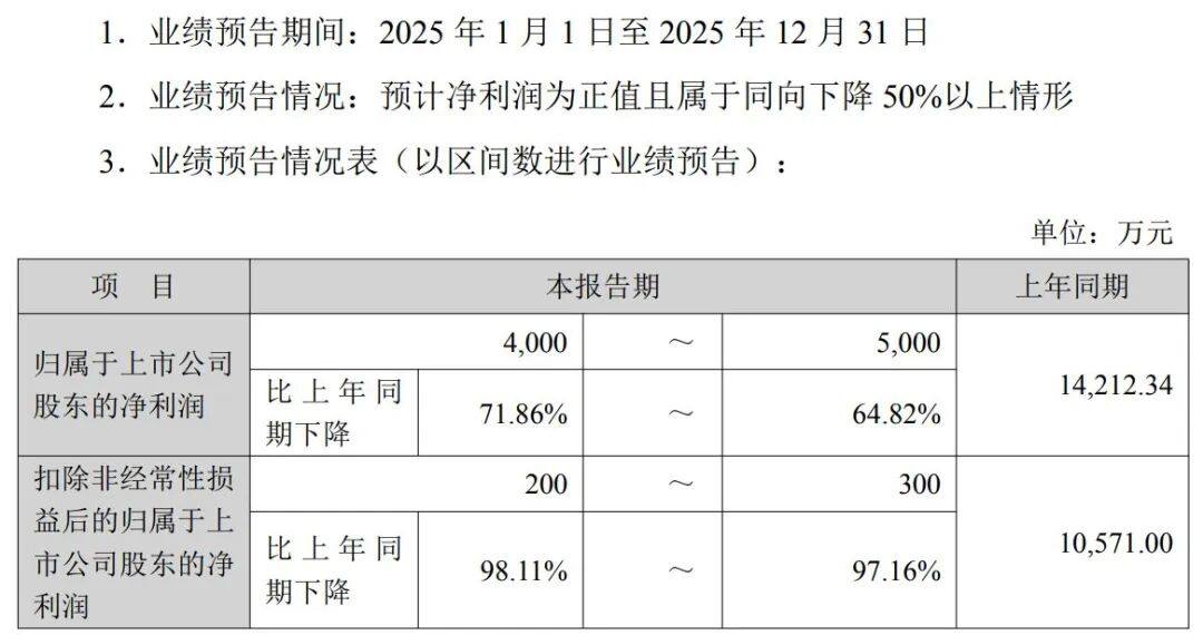 高额关税+“双反”调查，知名车企去年美国市场收入锐减近80%，净利预计降超六成！此前过半营收来自美国！斥巨资跨界投资半导体能救场吗？-313啦实用网