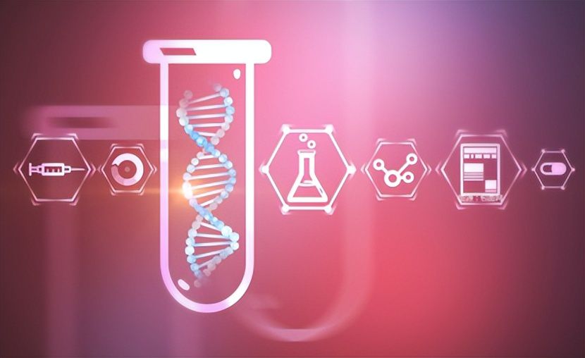 “减肥药双雄”表现分化！礼来跳空涨逾10%，发生了什么？-313啦实用网