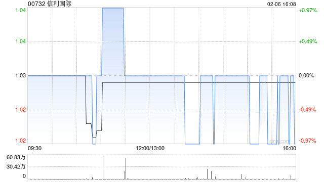 信利国际于2月6日耗资103万港元回购100万股-313啦实用网