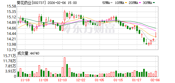 葵花药业：公司将持续加大大健康领域的资源投入-313啦实用网