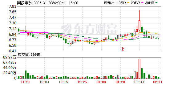 国投丰乐：截至2026年2月10日，公司股东人数61259户-313啦实用网