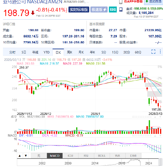 10万亿美国科技巨头跌入熊市-313啦实用网