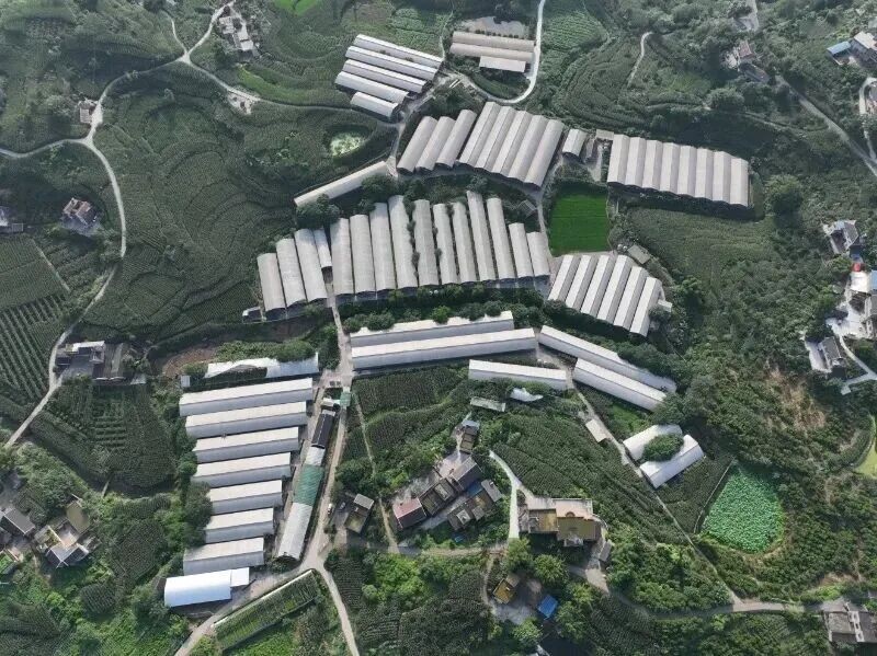 恒丰银行为新春“肉篮子”添“金”-313啦实用网