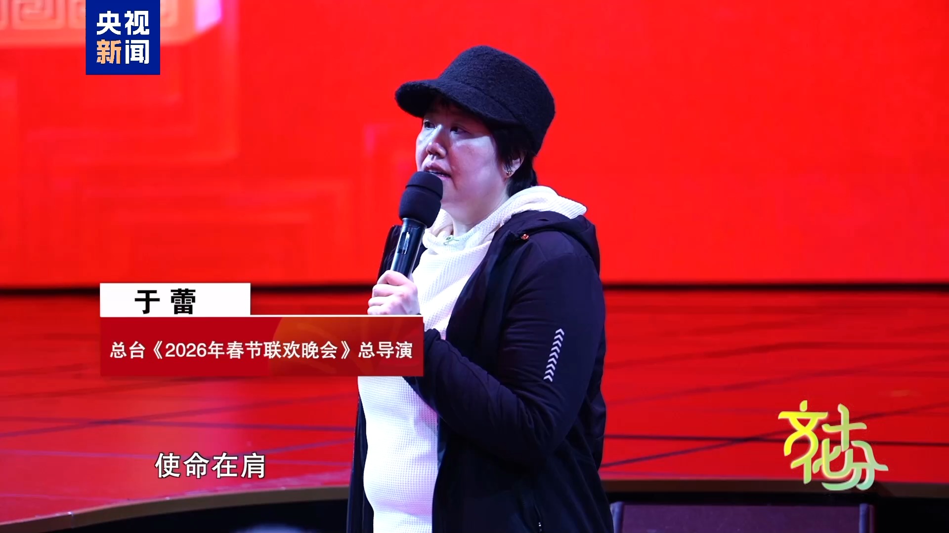 马年春晚有何“心”意？总导演于蕾揭秘-313啦实用网