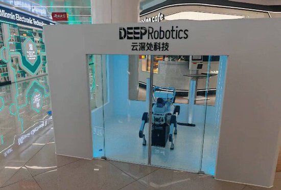 【申万宏源研究春节见闻】从“鸡毛换糖”到“全球数贸中心”,见证义乌人基因里的生意经