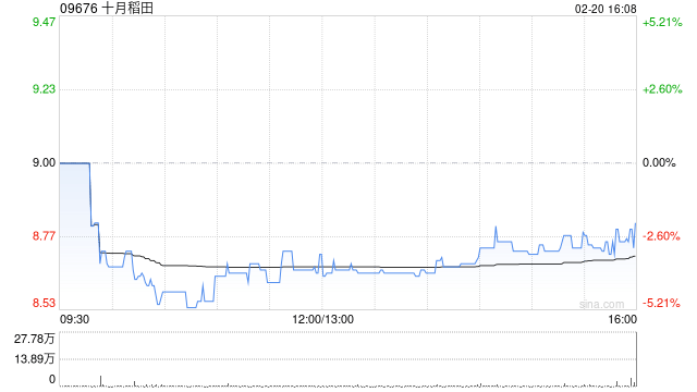 十月稻田于2月20日斥资316.62万港元回购36万股-313啦实用网