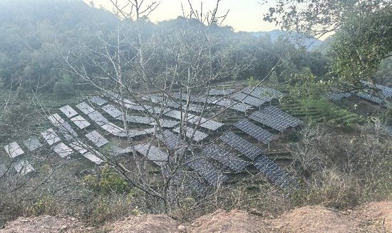 【申万宏源研究春节见闻】滇南新春行:好风好光好风光 澜沧碧波谱华章