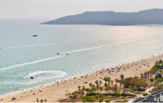 【申万宏源研究春节见闻】旅居热与跨境潮:从惠州滨海到香港街头的春节轨迹-313啦实用网