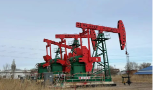 【申万宏源研究春节见闻】黑龙江大庆：从新中国石油工业的长子到北方高端智造高地-313啦实用网