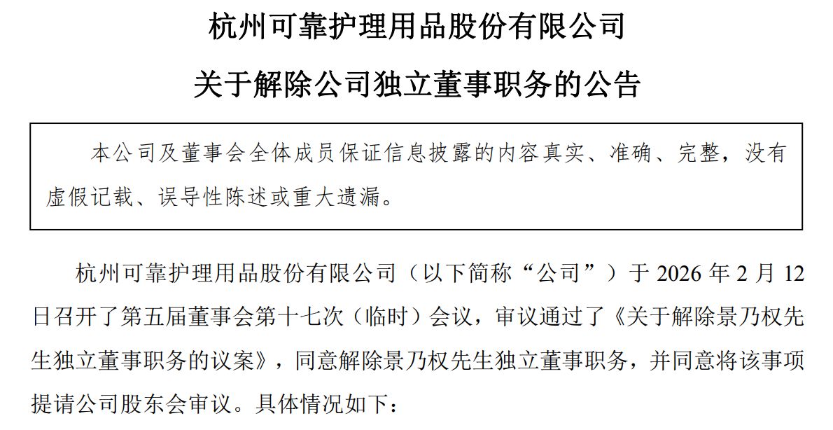 罢免独董引内讧！可靠股份5∶2表决背后，牵出监管旧账与权力之争-313啦实用网