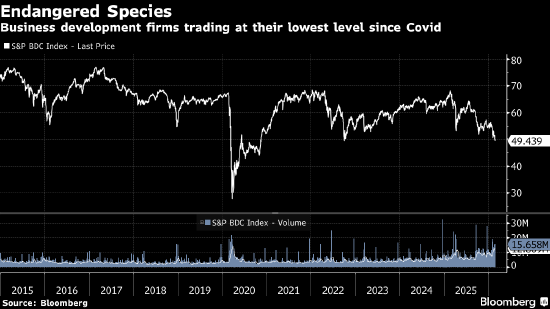 宏观看客:AI颠覆论是个有趣谈资 但系统性风险在别处-313啦实用网