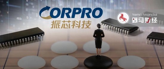 “美女富豪”从阶下囚到掌舵人，115亿振芯科技终归她手-313啦实用网