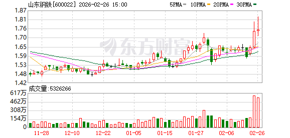 山东钢铁:公司于2024年6月设立财务服务中心-313啦实用网