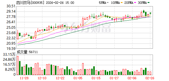 四川双马：公司目前生产经营平稳，各项业务稳步推进-313啦实用网