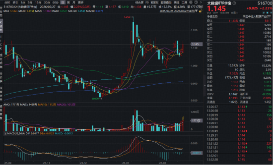 云计算进入密集涨价周期，厂商有望迎来估值重构！大数据ETF华宝（516700）大涨3.3%，拓维信息等3股涨停-313啦实用网