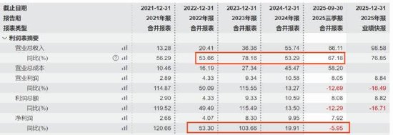 影石创新增收不增利是否折射出增长困局 股价“过山车”疑遭市场用脚投票？-313啦实用网