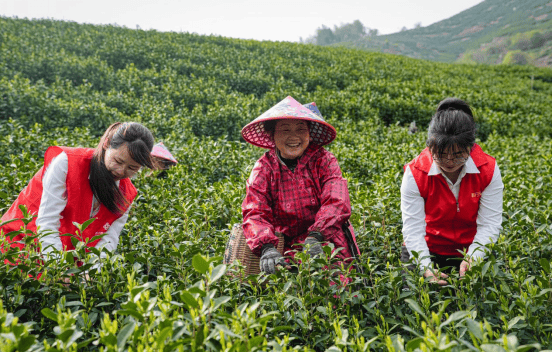一针一线编织“兴农”锦绣――浙江稠州商业银行躬耕乡村赋能共富纪实-313啦实用网