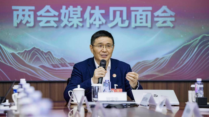 李东生、钟宝申、高纪凡、刘汉元…光伏大佬最新发声！