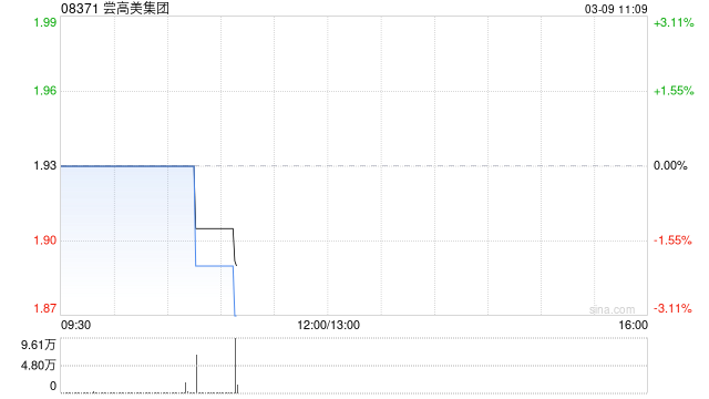 尝高美集团因购股权获行使而发行65万股-313啦实用网