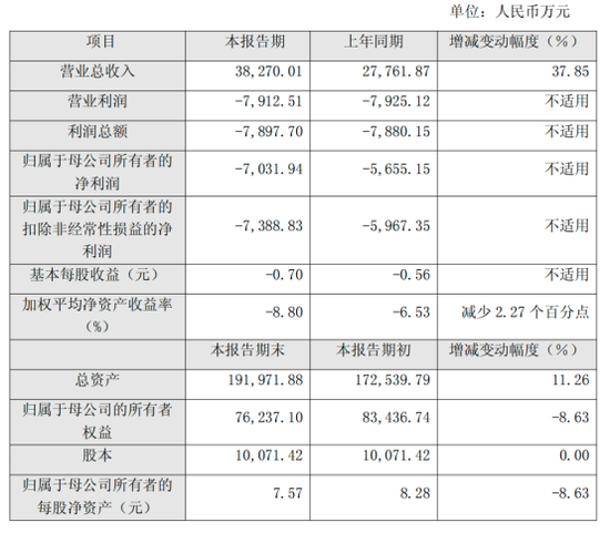路德科技：新业务高增长难抵成本重压，转型遇坎、亏损扩大-313啦实用网