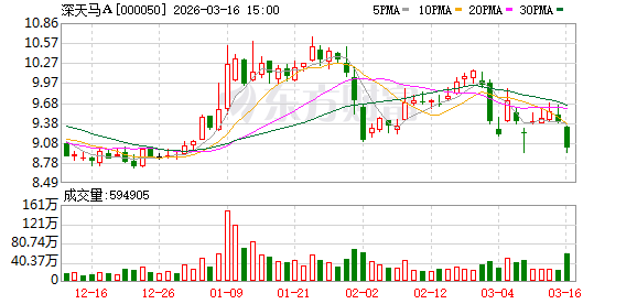 深天马A:公司将坚持“2+1+N”战略引领-313啦实用网