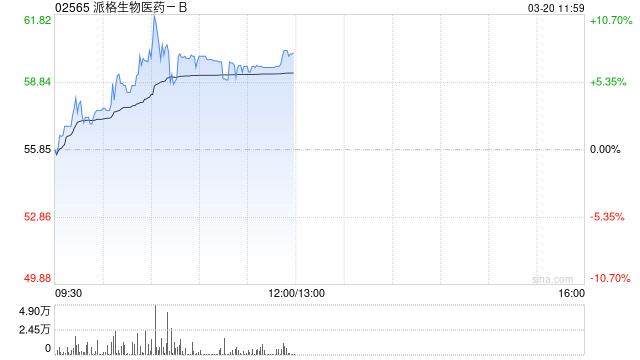 派格生物医药-B午前涨逾8% 获腾瑞制药百亿目标订单及1.4亿港币权益金-313啦实用网