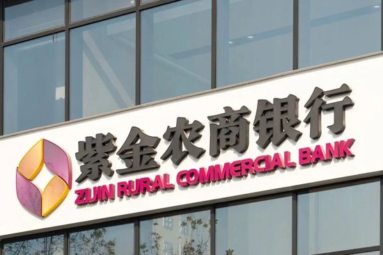 代履职近七月后任职资格获核准，紫金银行行长面临哪些挑战？-313啦实用网