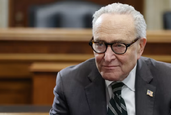 对民主党舒默的不满日益加剧，更换其职务的呼声四起-313啦实用网